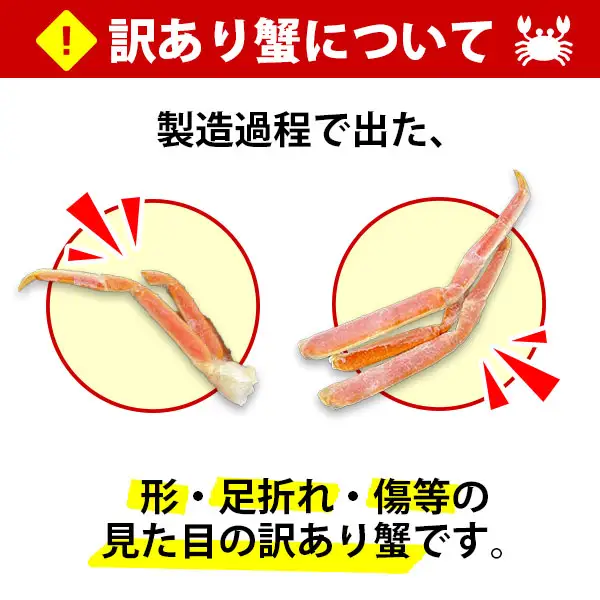 訳あり ボイル ズワイガニ足 800g 期間限定 約2-3人前 食べ方ガイド・専用ハサミ付 数量限定 カニ かに 蟹 海鮮 送料無料 期間限定 数量限定 北海道 弟子屈町 1543