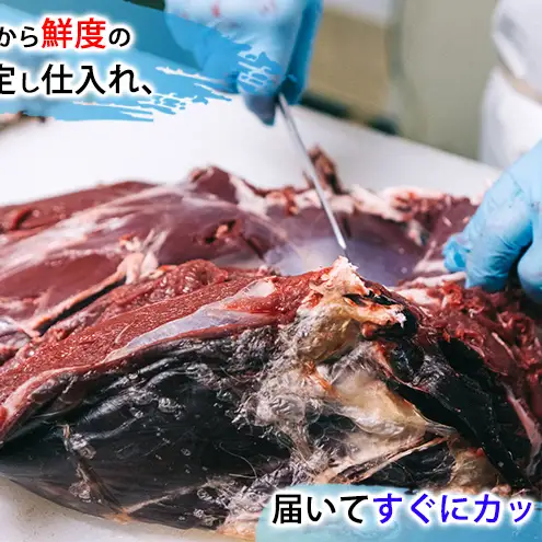 北海道 湧別町産 エゾ鹿肉 モモ (ブロック) 約1kg 【 お肉 ジビエ 鹿 しか肉 シカ肉 エゾシカ エゾシカ肉 もも肉 エゾ鹿 冷凍 低カロリー ヘルシー 国産 産地直送 オホーツク 】