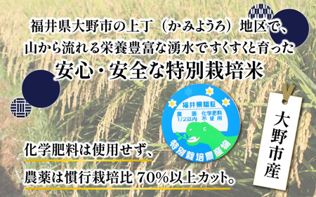 【先行予約】【令和7年産 新米】ベストファーマー ほたるの里 特別栽培こしひかり 4kg（2kg × 2袋） ＋ かぐらもち米 1.4kg 化学肥料不使用 農薬70％以上カット【10月より順次発送】 [A-002002]