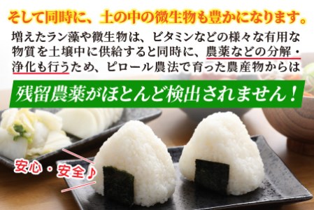 【令和7年産】【3ヶ月定期便】こだわりの米！弱アルカリ性のピロール米 こしひかり 白米 4.5kg×3回 計13.5kg [C-009004]