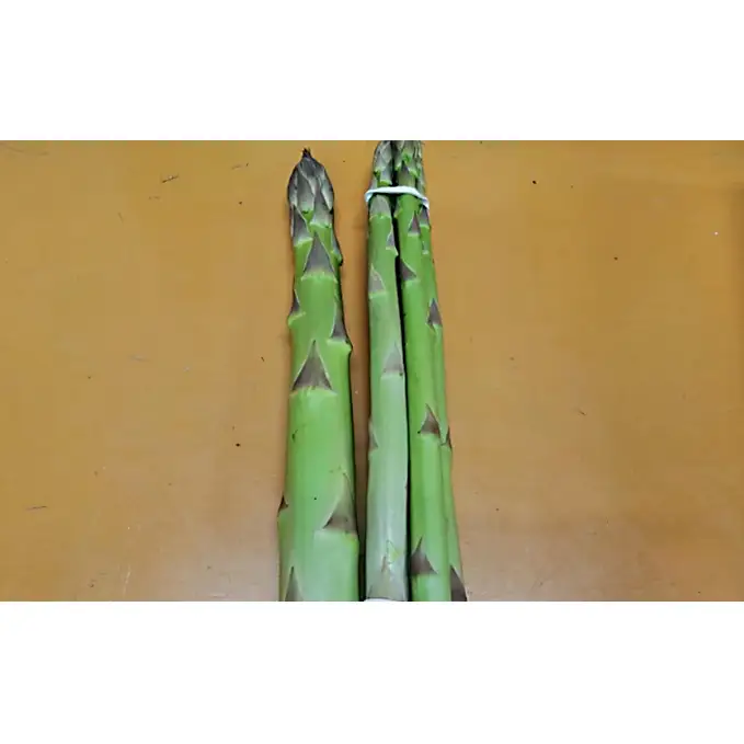 期間限定！極太アスパラ 【さぬきのめざめ1kg】  3Lサイズ 野菜セット 野菜 アスパラガス 