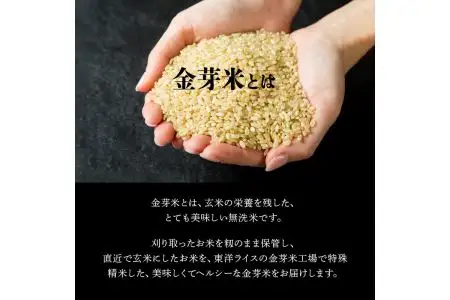 ヒノヒカリ金芽米4.5kgと紫黒米（古代米）300g B01013