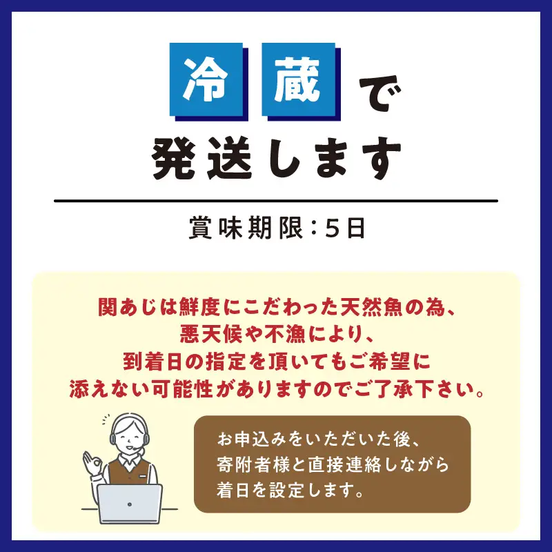 関あじ（鮮魚セット）2尾 E04023