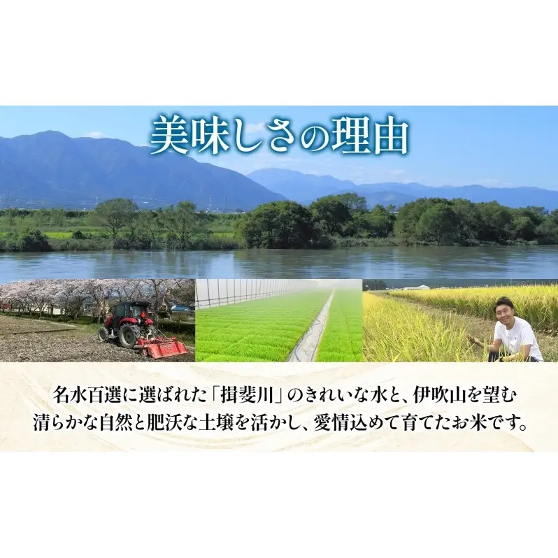 ハツシモ 米 高橋米 白米 ハツシモ【10kg×1袋】【定期便 全5回】【先行予約】