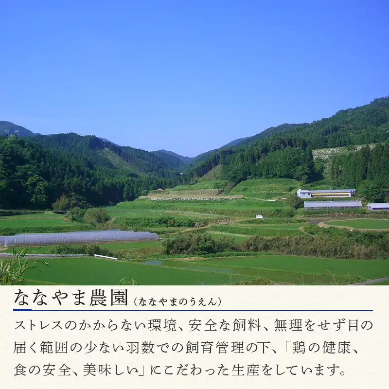佐賀県産 放し飼いで育った親鶏の肉 (もも むね ささみ各2枚×4) 煮込み料理 たたき