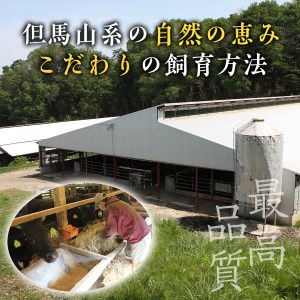 Y006 田村牛 至福のお肉お届けコース
