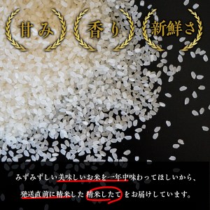 Y005 《新米予約受付開始！》 令和8年産 “土づくりの恵み” つやっつやの特別栽培米お届け  12ヶ月コース