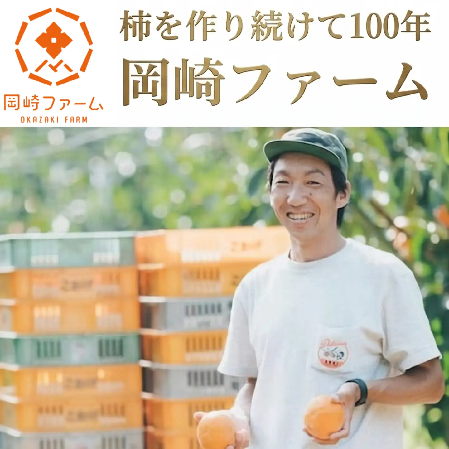 Y091 樹齢100年の古木から採れる花御所柿（2.5kg）