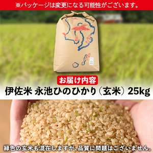 isa200 令和6年産 特別栽培米 永池ひのひかり玄米(25kg)  鹿児島 永池 お米 米 玄米 伊佐米 九州米サミット 食味コンテスト 最優秀賞受賞 ヒノヒカリ【エコファーム永池】