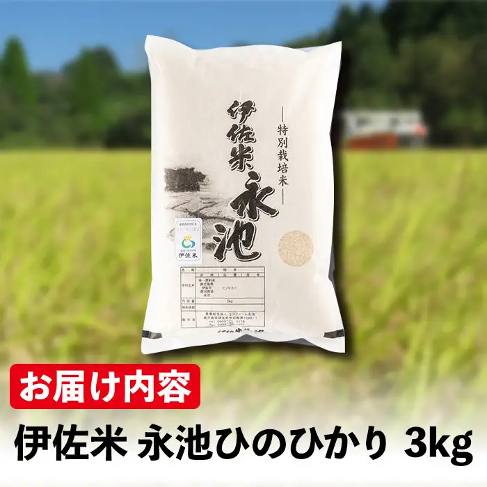 Z5-10 ＜14営業日以内に発送！＞《数量限定》令和7年産 特別栽培米 伊佐米永池ひのひかり(3kg) 伊佐市 永池 特産品 伊佐米 九州米サミット 食味コンテスト 最優秀賞受賞 ヒノヒカリ 3kg 【エコファーム永池】