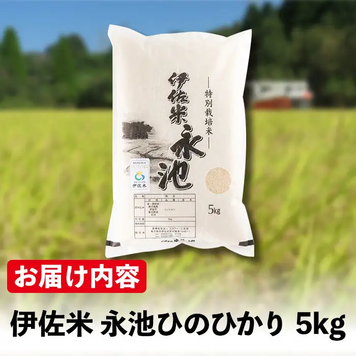 Z7-01 ＜先行予約受付中！2026年10月中旬から順次発送＞《数量限定》令和8年産 特別栽培米 伊佐米永池ひのひかり(5kg) 伊佐市 永池 特産品 伊佐米 新米 九州米サミット 食味コンテスト 最優秀賞受賞 ヒノヒカリ 5kg 【エコファーム永池】