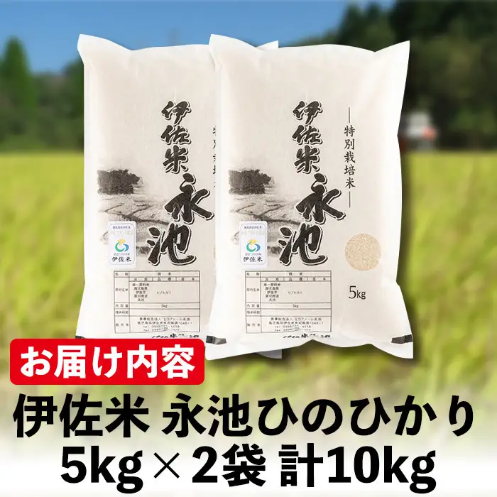A4-06 ＜14営業日以内に発送！＞《数量限定》令和7年産 特別栽培米 伊佐米永池ひのひかり(10kg) 伊佐市 永池 特産品 伊佐米 九州米サミット 食味コンテスト 最優秀賞受賞 ヒノヒカリ 10kg 【エコファーム永池】