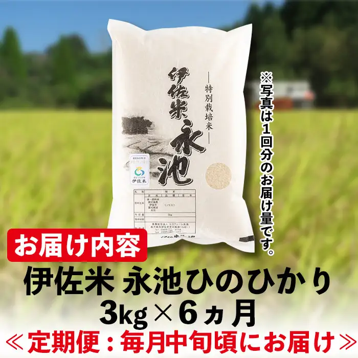 C0-09 【定期便】令和8年産 新米 特別栽培米 伊佐米永池ひのひかり(計18kg・3kg×6ヶ月) 伊佐市 永池 新米 お米 米 白米 精米 伊佐米 食味コンテスト 最優秀賞受賞 ヒノヒカリ 【エコファーム永池】