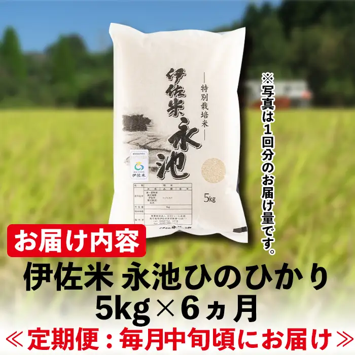 D2-04 【定期便】令和8年産 新米 特別栽培米 伊佐米永池ひのひかり(計30kg・5kg×6ヶ月) 伊佐市 永池 新米 お米 米 白米 精米 伊佐米 食味コンテスト 最優秀賞受賞 ヒノヒカリ 【エコファーム永池】
