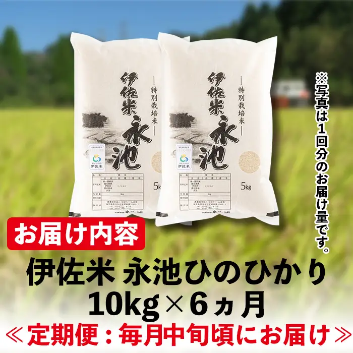 H4-01 【定期便】令和8年産 新米 特別栽培米 伊佐米永池ひのひかり(計60kg・10kg×6ヶ月) 伊佐市 永池 新米 お米 米 白米 精米 伊佐米 食味コンテスト 最優秀賞受賞 ヒノヒカリ 【エコファーム永池】