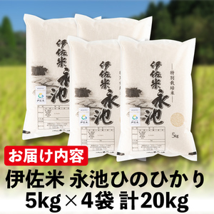 B8-05 令和6年産 特別栽培米 永池ひのひかり(計20kg・5kg×4袋)伊佐市 特産品 鹿児島 永池 お米 米 白米 精米 伊佐米 九州米サミット 食味コンテスト 最優秀賞受賞 ヒノヒカリ【エコファーム永池】