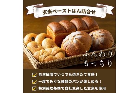 A0-06 玄米ペーストぱん詰め合せ(全6種・食パン×2斤、他8個)  伊佐市 特産品 自社栽培 玄米 カンパーニュ 塩バター あんぱん くるみぱん パン 菓子パン おやつ セット 詰合せ【やまびこの郷】