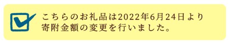Z6-11 伊佐舞 帆前掛け(縦73cm×横47cm:紐の長さ234cm) 伊佐市 特産品 長い丈 お洒落 前掛け エプロン 丈夫 布製 昔ながら 長い タイプ【酒乃向原】