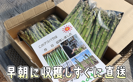 アスパラ 露地 北海道産 アスパラ【約1.5kgM・Sサイズ】【先行予約】