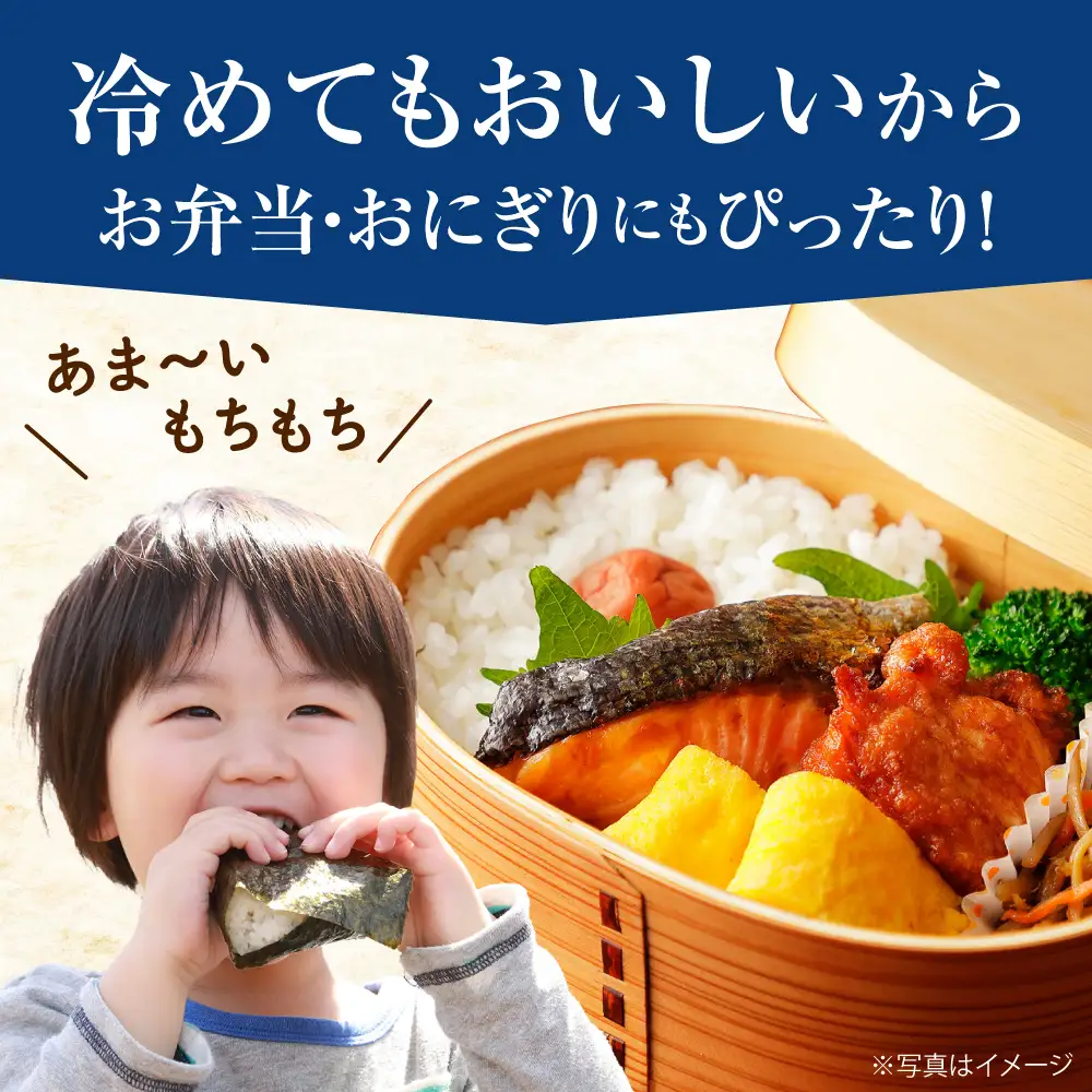 【先行予約】はるみ 新米 新米 5kg 令和8年産 [BDAF001] 