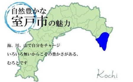 ジェラート 食べ比べ 7個 アイス 室戸市 ジェラート