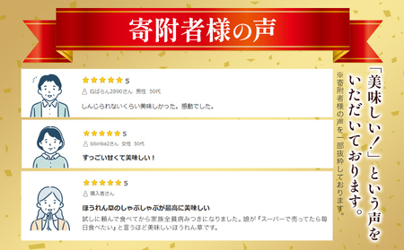 北海道名寄産 星空雪見法蓮草《2027年1月中旬-2月上旬頃出荷》名寄産 星空雪見 法蓮草 星空 雪見 法蓮草 ほうれん草 北海道 名寄市 野菜 ホウレンソウ 野菜ソムリエ やさい 