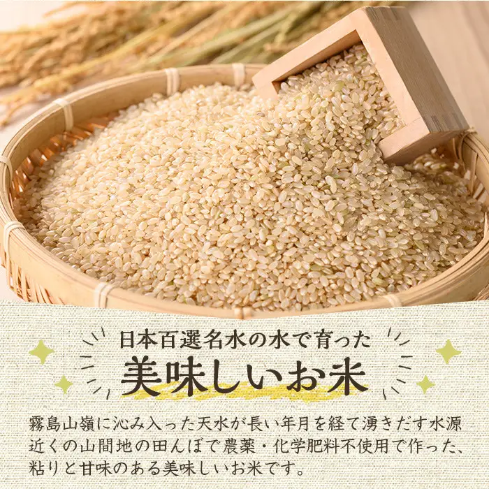 《栽培期間中農薬化学肥料不使用》 鹿児島県産 ヒノヒカリ 玄米(3kg) 国産 九州産 鹿児島県産 湧水町産 ひのひかり お米 おこめ オコメ 米 こめ コメ 玄米 ご飯 ごはん 3kg 化学肥料不使用 農薬不使用 有機 有機農業 有機肥料 【雲月農園】_y174