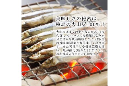 ＜高級手作り干物＞桜島灰干し詰め合わせ 鹿児島県湧水町産にじますの他、季節のお魚を計6袋お届け！ 干物 魚 焼き魚 おかず 晩御飯 晩ごはん 朝食 朝ごはん 朝ご飯 和食 にじます ニジマス 保存料無添加 【福永商店】_y267