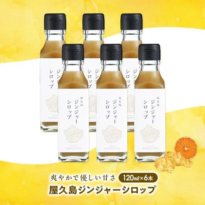 屋久島ジンジャーシロップ 小(120ml)×6本セット