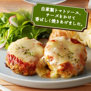 豆腐と地鶏のイタリアンハンバーグ6個入り（13）〈レトルト〉