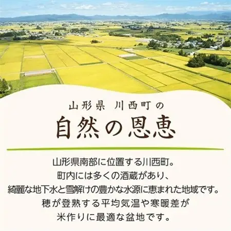 《先行予約》令和8年産　山形県産　つや姫　10kg(5kg×2袋)_ 精米 米    つや姫 米 _【1120492】