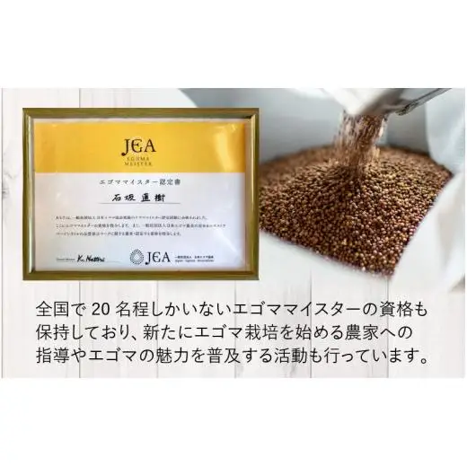 無農薬無添加 エゴマ油と実をまるごと味わうセット
