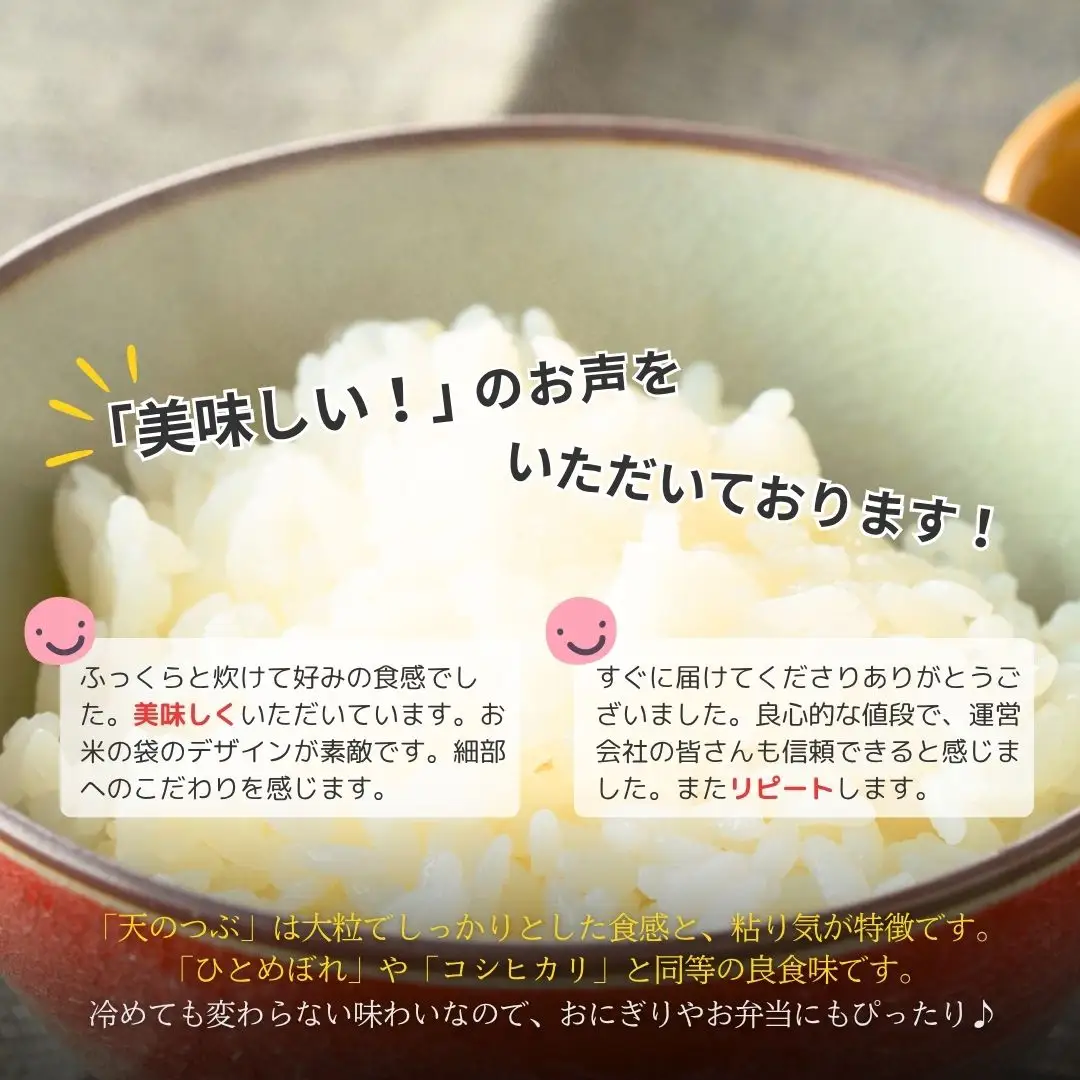 パックご飯 天のつぶ 24個 令和7年産 | パックご飯 備蓄 保存食 南相馬