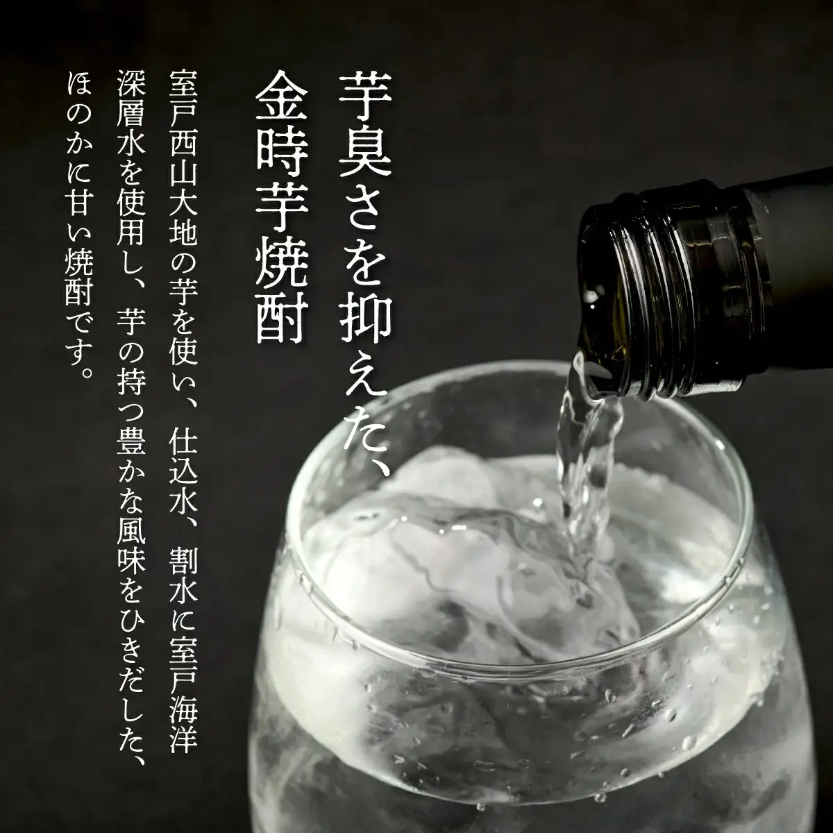 土佐金時芋焼酎 空海 500ml 芋焼酎