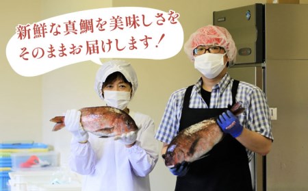 【五島列島の新鮮真鯛】鯛茶漬け8食（あおさ塩だし） 五島市/NEWパンドラ[PAD002]   出汁 だし タイ 魚 出汁茶漬け お出汁真鯛 茶漬け 出汁 だし