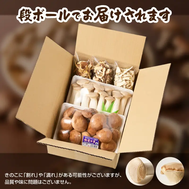 きのこ 富士山タマチョレイ茸 紅富士茸（椎茸） エリンギ 「美味しいきのこセット」 生きのこ 乾燥きのこ 3種 1kg以上 セット 詰め合わせ 薬品類無使用 柔らか 滑らか 旨み 国産 富士市産 富士きのこセンター 静岡県 富士市 [sf002-006]