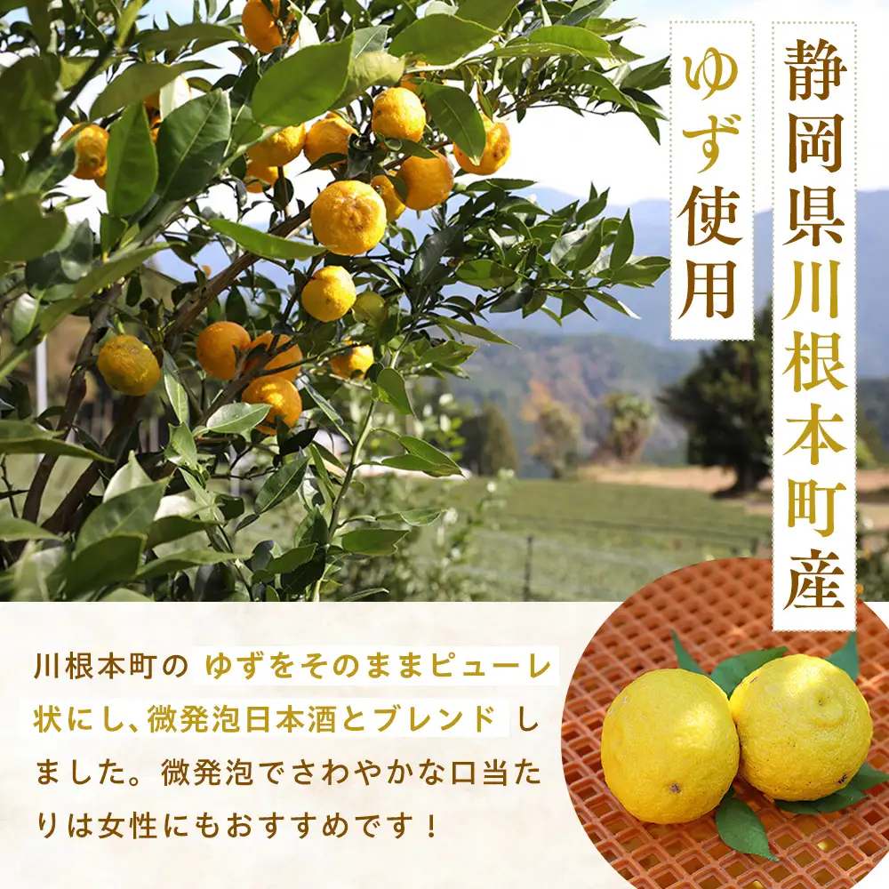12-2 スパークリング 花の舞 ちょびっと乾杯　ぷちしゅわ ゆず酒（300ml）×3　川根本町産ゆず使用！静岡の地酒 / 日本酒