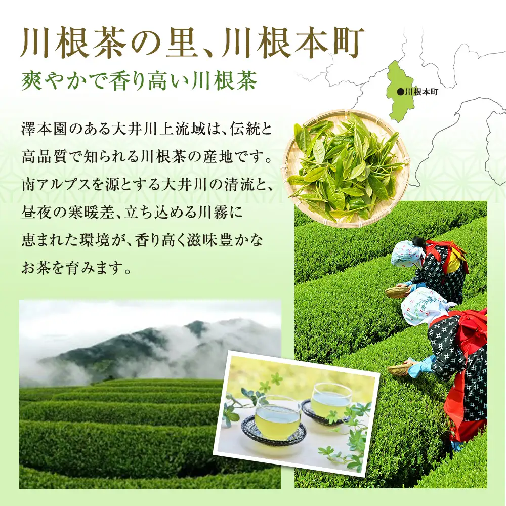 13-5 生粋川根茶 澤本園 ふるさとありがとう15
