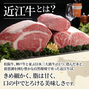 近江牛 特選肩ロース 赤身モモ スライスセット 計500g すき焼きしゃぶしゃぶすきやき和牛すき焼き用牛肉すきやき用 和牛すきやき黒毛和牛