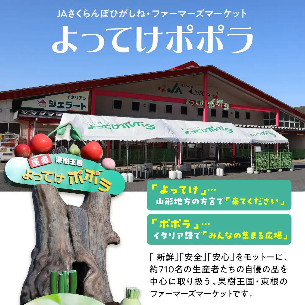山形牛 肩ロース すき焼き用 900g 山形牛