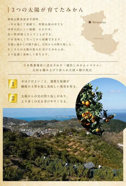 蔵出しみかん5kg(S・M・Lサイズおまかせ)《赤秀》和歌山県下津町から農園直送！蔵出しみかん S・M・Lサイズ
