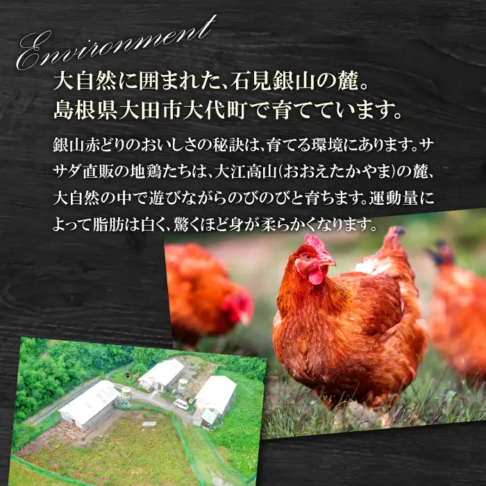「天領軍鶏」と１羽まるごとローストコンフィ【鶏肉 地鶏 鶏 赤鶏 赤どり 軍鶏 しゃも シャモ ローストコンフィ 冷凍 真空パック 国産】