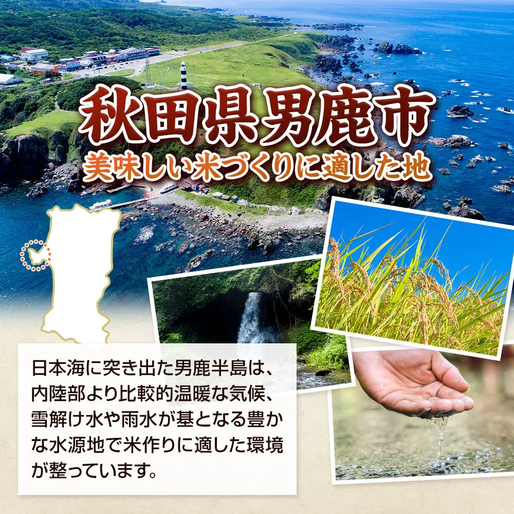 MUSHAMAI あきたこまち「こだわり米」10kg（5kg×2袋）お米 精米 令和8年産 秋田県 男鹿市
