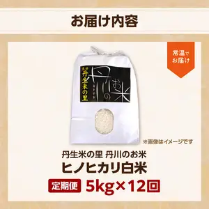 【定期便】丹生米の里 丹川のお米 ヒノヒカリ白米 5kg×12回 B01024