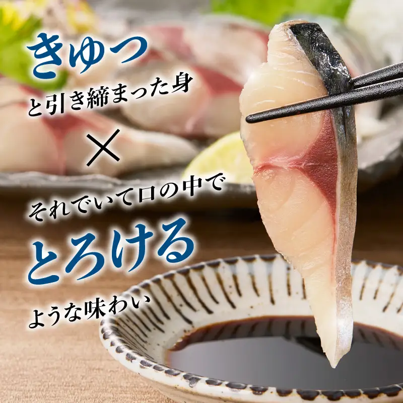 関冷刺 関さば（大） E04002
