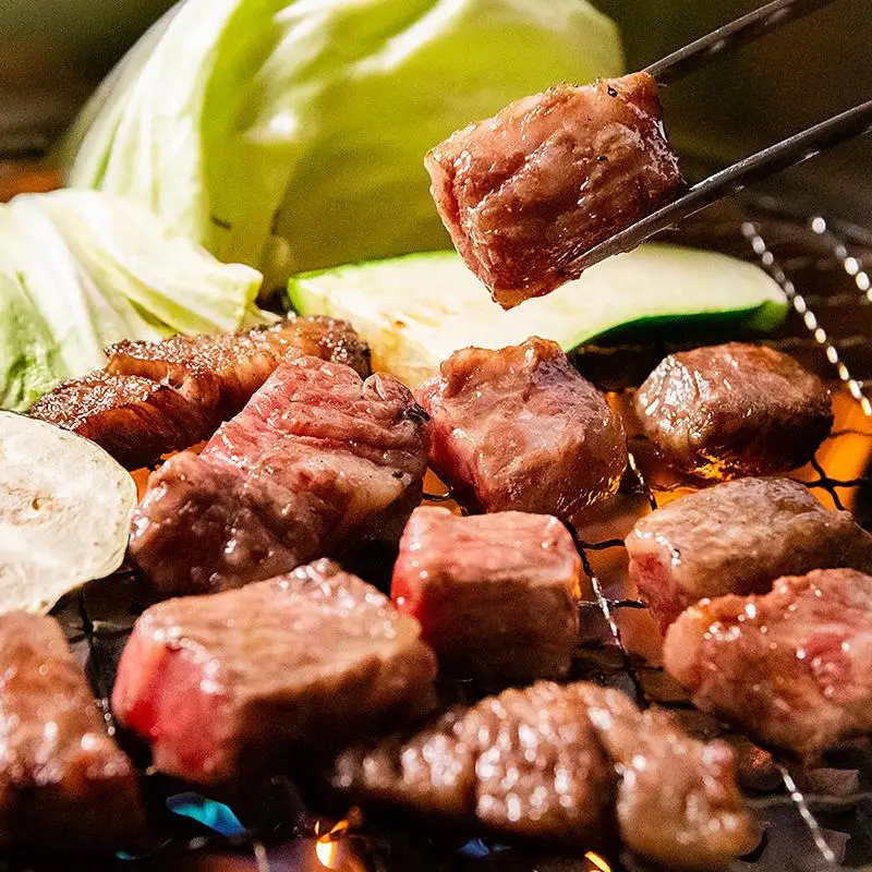 宮崎和牛  齋藤牛サイコロステーキ600g 黒毛和牛 赤身肉主体  訳あり 牛肉 ステーキ サイトーファームブランド＜5-12a＞
