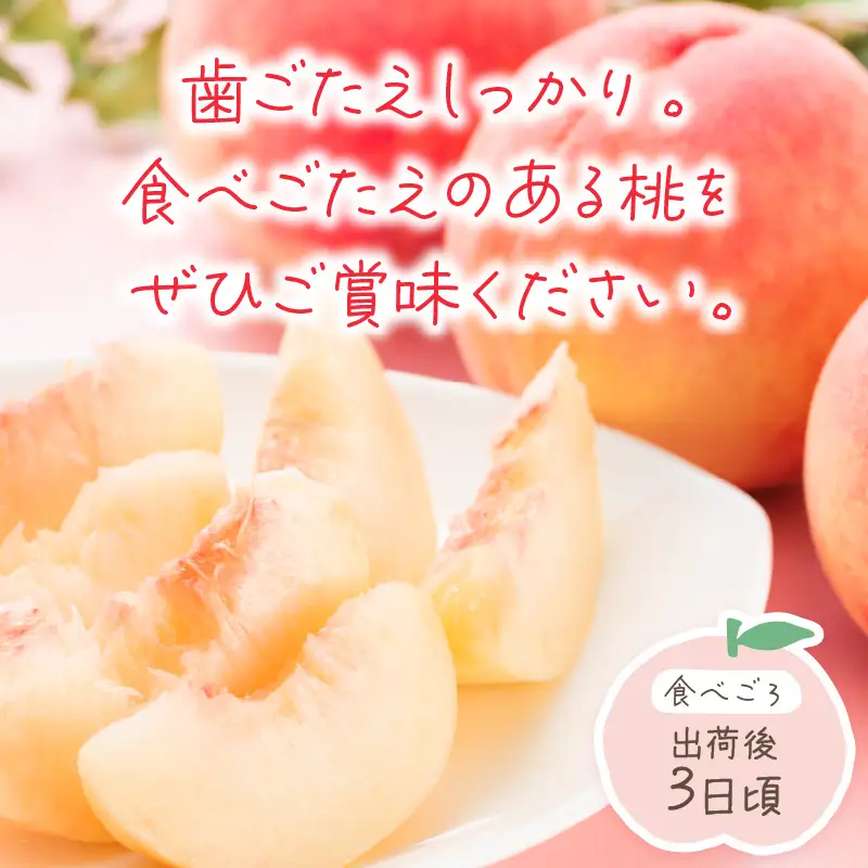 桃【数量限定】京都丹後市産 桃 約2kg (6～8玉) (2026年7月中旬～発送）