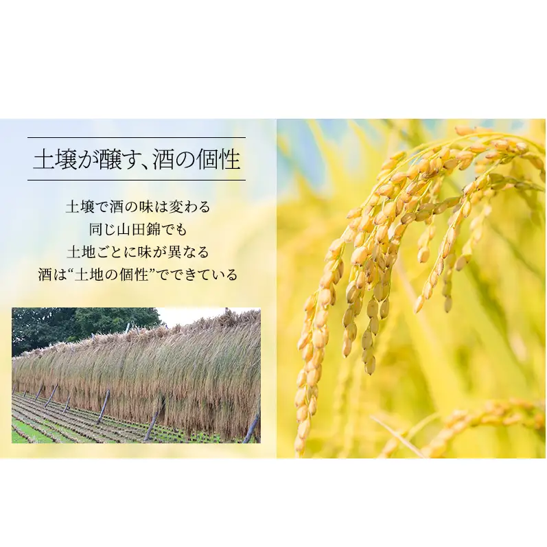 日本酒 龍力 米のささやき 大吟醸 日本酒