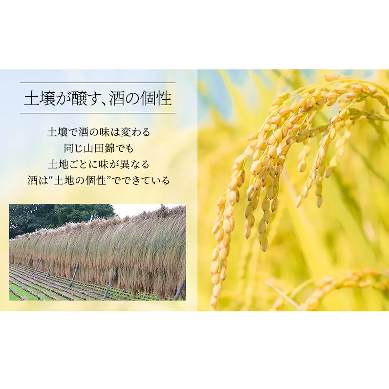 日本酒 大吟醸 龍力 米のささやき 1800ml 日本酒