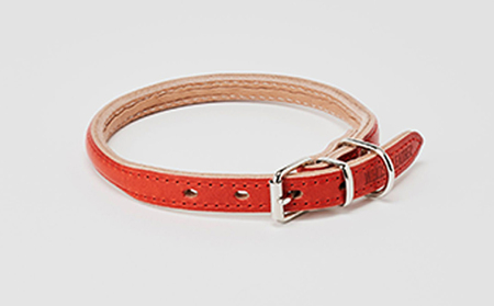 首輪goodcollar犬猫ペット用品首輪【4号】 ヒノキ
